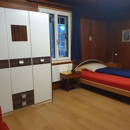 Traditional Swiss-Flat Ιντερλάκεν Εξωτερικό φωτογραφία