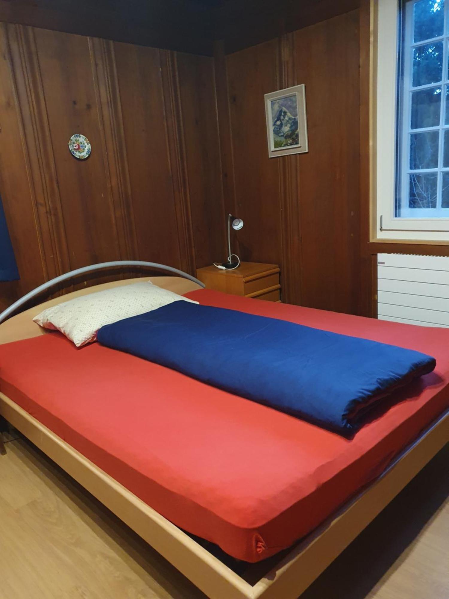 Traditional Swiss-Flat Ιντερλάκεν Εξωτερικό φωτογραφία